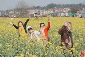 花好景明 长沙万亩油菜花海邀你共赴春约图片