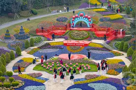 重庆巴南：春季艺术花展盛大开幕图片