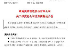 湘油泵拟更名美湖股份，今年来已有多家上市公司更名图片