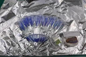 兵马俑身上的紫色竟是量子材料？上科大科研团队揭示千年前“中国紫”合成之谜图片