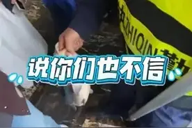 别再喂了！“已经撑死好几条了！”图片