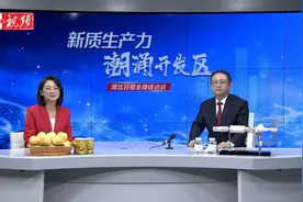 枣阳经开区：30年30倍！“县小队”跻身“国家队”图片