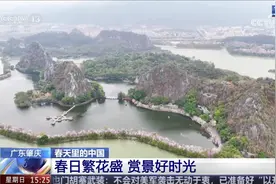 央视8分钟聚焦肇庆！春日美景惹人醉，烟火生活慢时光图片