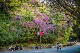 小雪节气广州冷空气活跃，下周局部将有5℃低温图片