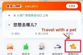Pet-friendly ride service's been promoted nationwide丨带着毛孩子也能打车啦图片