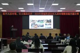 提升人居环境，壮大集体经济，荷城25个村（社区）同台“比武”图片