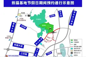 春节期间 成都大熊猫繁育研究基地周边道路这样走图片