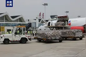 云南德宏—缅甸仰光全货运航班成功首航图片