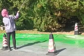 有人给路边树木喷“绿漆”造假？回应来了图片