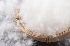 羽绒服到底能不能干洗？冬装清洗收纳全攻略图片