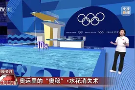 一文告诉你中国跳水“梦之队”的“水花消失术”如何练成图片