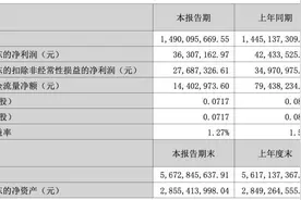 重注偏光片，深纺织A上半年：售价变低，净利同比降14%图片