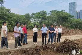 国家级技术力量来啦！顺风岛与中科院西双版纳热带植物园签约图片