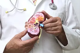 科普｜什么是慢性肾脏疾病？如何保护肾脏健康？图片
