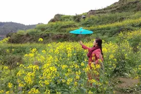旅游天地 | 婺源篁岭的花儿黄图片