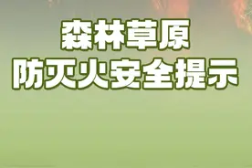 如何防范森林火灾？遇到火灾如何避险自救？这份安全提示请收下图片