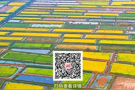 潜江市委书记叶杨：攀高比强 创先争优 在服务支点建设中勇当标杆图片