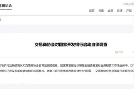 交易商协会对国家开发银行启动自律调查图片