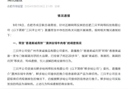 涉美诚月饼等舆情风波！三只羊被罚没超六千万并限期整改图片
