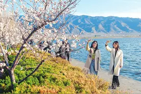 踏青赏花品春味图片