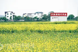资本“下乡记”图片