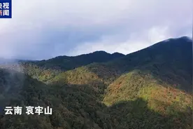 爆火的哀牢山，是什么来头？图片