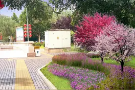 丁香大道、格桑花海……今年平谷花园城市这样建图片