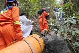 广西柳州滚石致1死5伤，镇政府：为一家族清明“拜山”图片