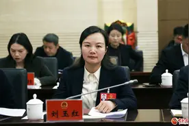 聚焦2025甘肃两会丨省人大代表刘玉红：加大陇南地区水利工程设施建设 助力农业发展农民增收图片