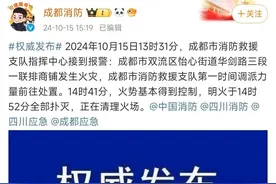成都双流一联排商铺发生火灾！官方通报图片