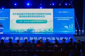 重庆发布促进商业银行加快数字化转型提高融资便利度的指导意见图片