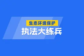 执法大练兵｜2024年上海市生态环境执法典型案例图片