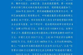 贵州女企业家讨工程欠款“寻衅滋事”被批捕？当地多部门回应图片