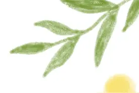 年宵花别扔，这么做还可以再次开花噢~图片