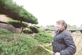 南靖：庭院有“看头” 增收有盼头图片