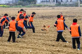 追光丨起猛了，新学期体育课上居然可以抓鸡？！图片