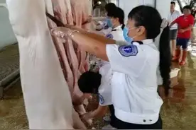 山东推行“一码三证”，实现生猪屠宰检疫全程可追溯图片