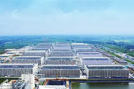 链动新河南丨牧原集团 科技助力 生猪产业逐“绿”而行图片