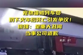 “重大丑闻”！俄媒：一宠物猫被列车员扔下火车后死亡，当事公司道歉图片