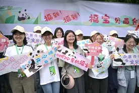 福宝，正式亮相🤩图片