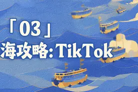 低价商家，玩不转TikTok图片
