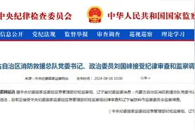 中纪委刚刚通报！刘国峰接受审查调查图片