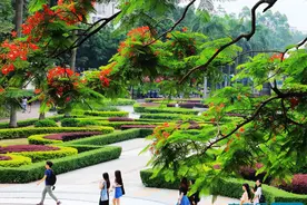 报读广州市白云工商技师学院“三二分段” 成就大学梦想图片