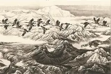 高于高原的精神坐标（报告文学）图片