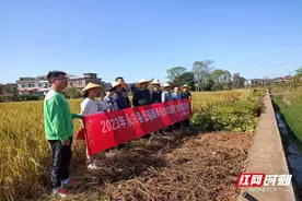 永兴县柏林镇：底镉臻两优8612测产验收成功图片