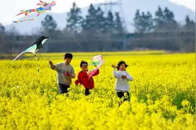 下降10～12℃！强对流天气！安徽将迎寒潮图片