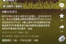 乡镇书记、镇长在油菜花田里跳李羲承进行曲走红后，各地纷纷“抄作业”图片