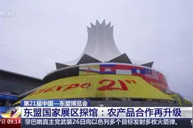 “榴莲”忘返！这个博览会上，看东盟农产品如何抢“鲜”入境图片
