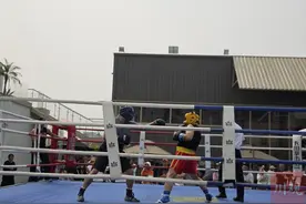 职场人士奔赴拳台 成都市拳击协会第一届白领拳王公开赛举行图片