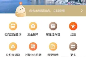 如何在“随申办”快捷查询社保缴费情况？操作指南→图片